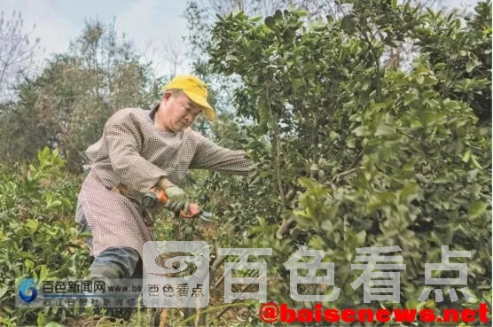 3.webp