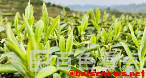 QQ截图20220326192034.webp