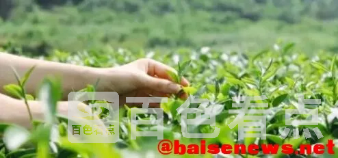 QQ截图20220326192045.webp