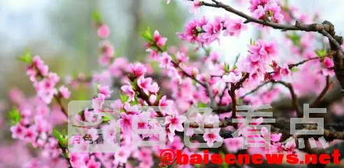 QQ截图20220326192356.webp