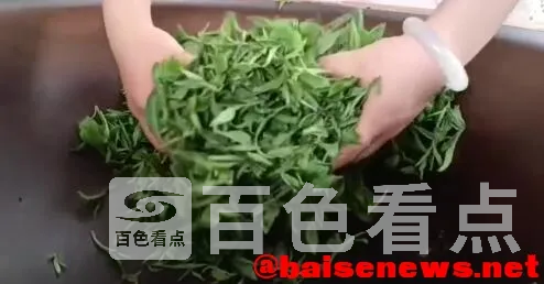 QQ截图20220326192207.webp
