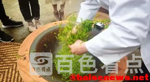 QQ截图20220326192412.webp