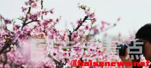 QQ截图20220326192151.webp