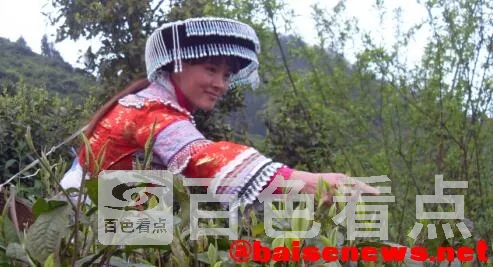 QQ截图20220326192327.webp