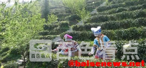 QQ截图20220326192118.webp