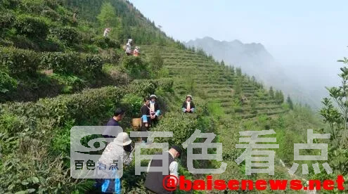 QQ截图20220326192441.webp