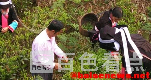 QQ截图20220326192434.webp