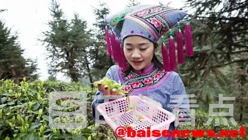 QQ截图20220326192449.webp