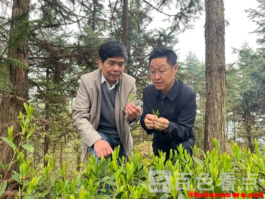 微信图片_20220328165634.webp