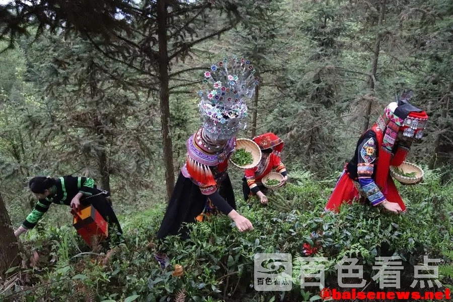 微信图片_20220328165621.webp