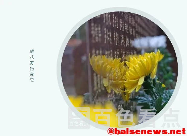 7.webp