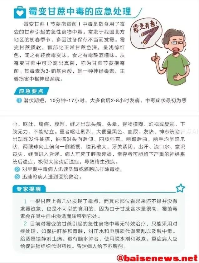 5.webp