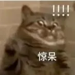 2.webp
