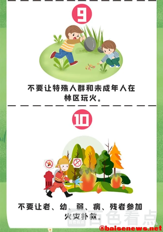 12.webp