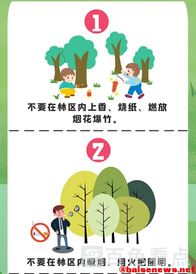 8.webp