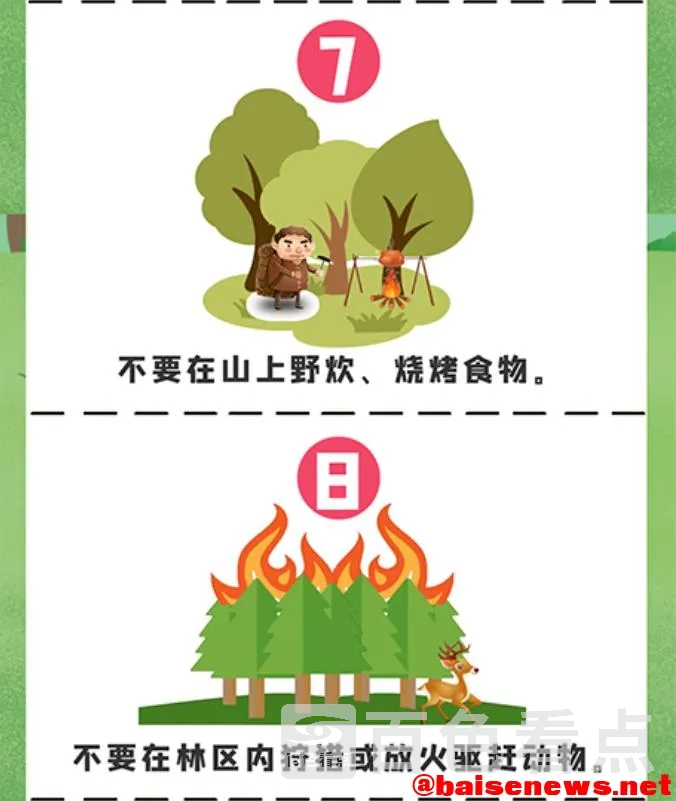 11.webp