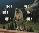 1.webp