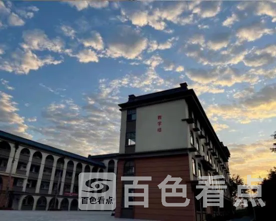 5.webp