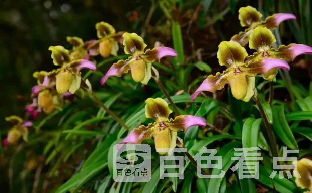 17.webp