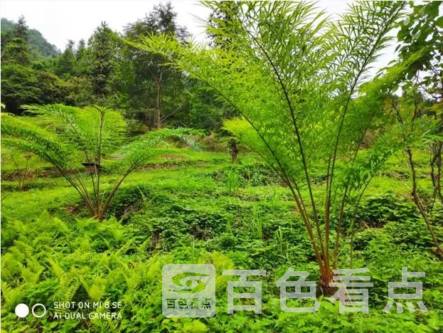 15.webp