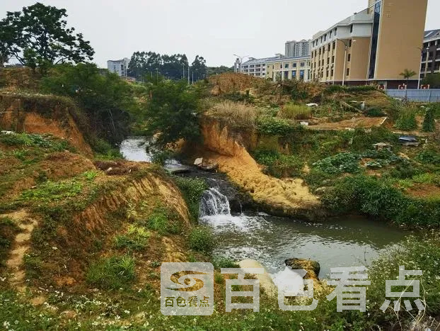 5.webp