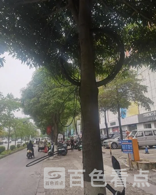 QQ截图20220429150438.webp
