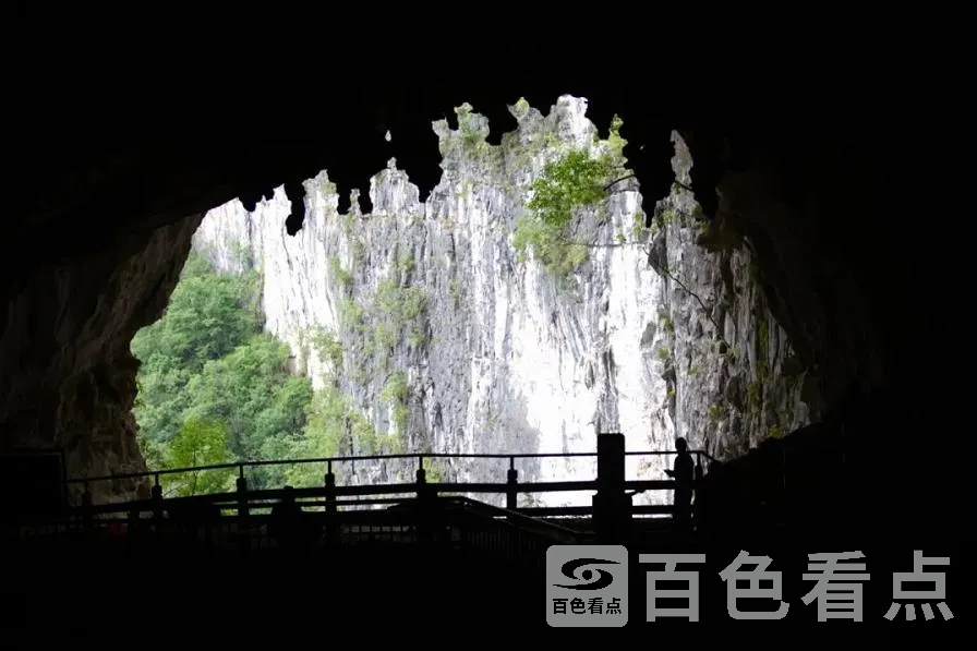 32.webp