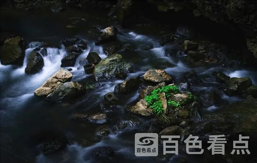 31.webp