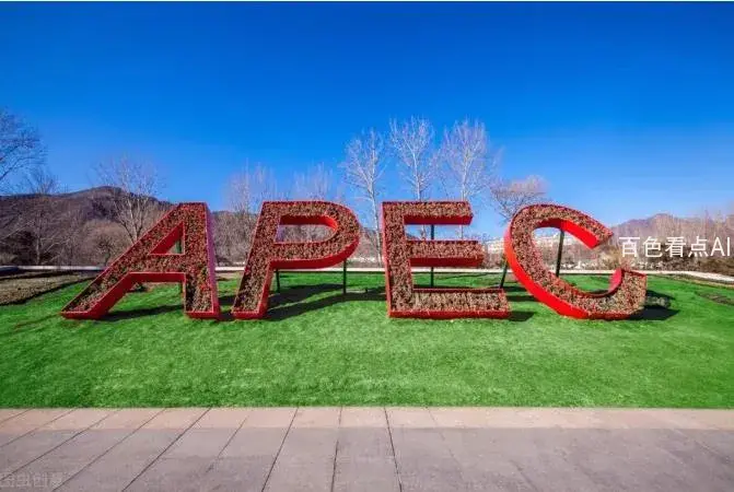 7.webp