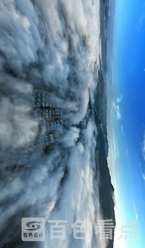 4.webp