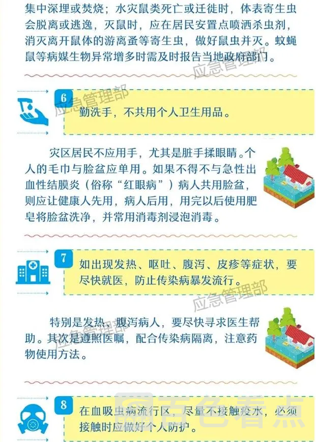 6.webp