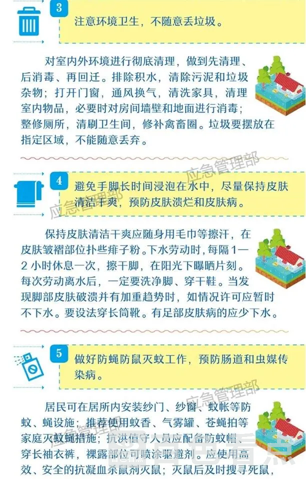 5.webp