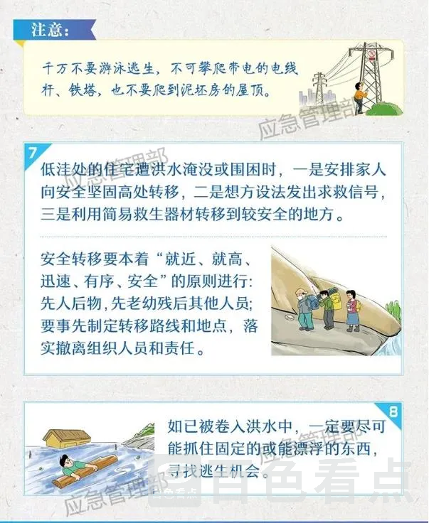 3.webp