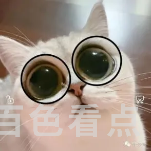 2.webp
