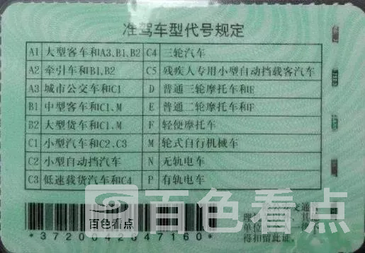 4.webp