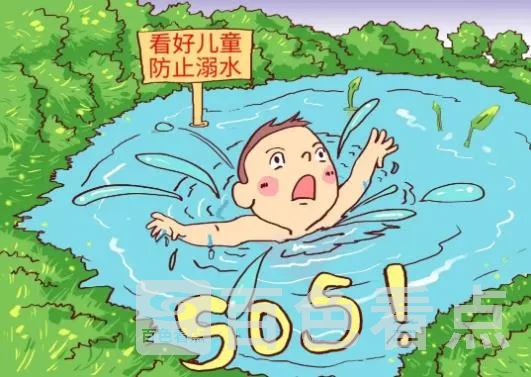 8.webp