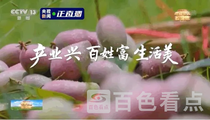 4.webp