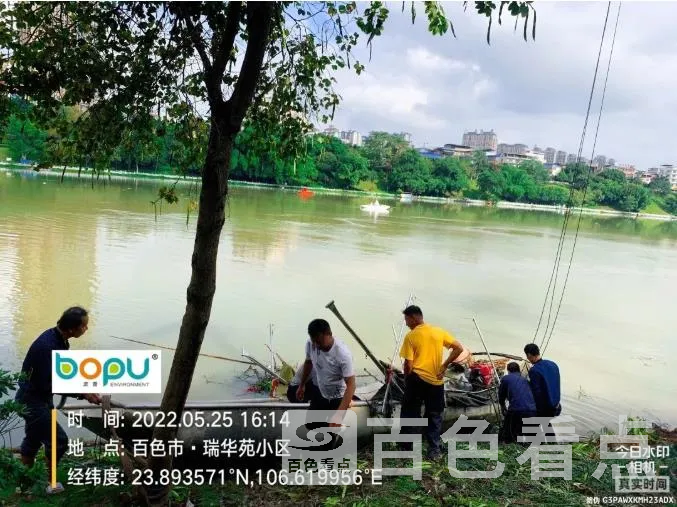 5.webp