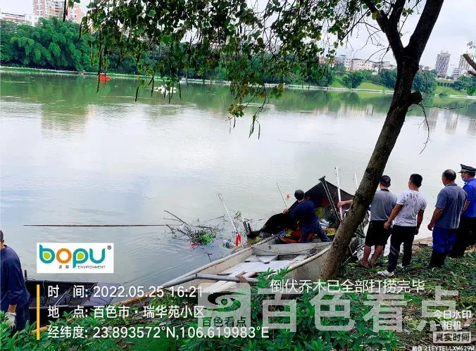 6.webp