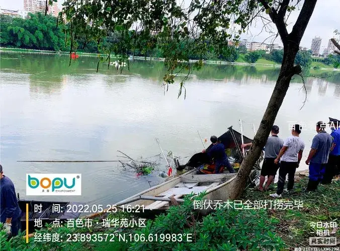 6.webp