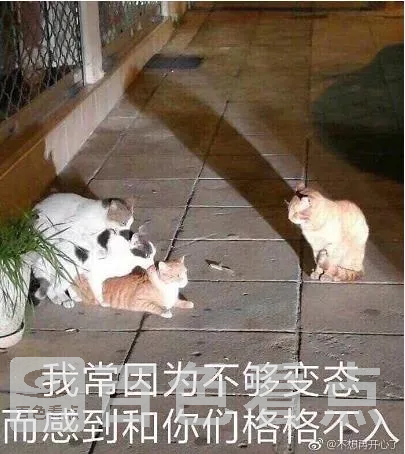4.webp