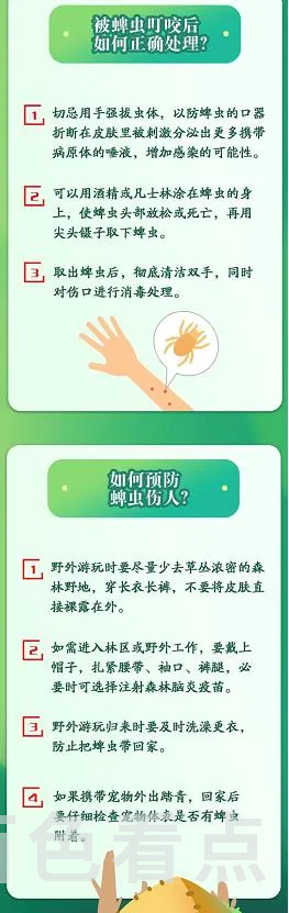 3.webp