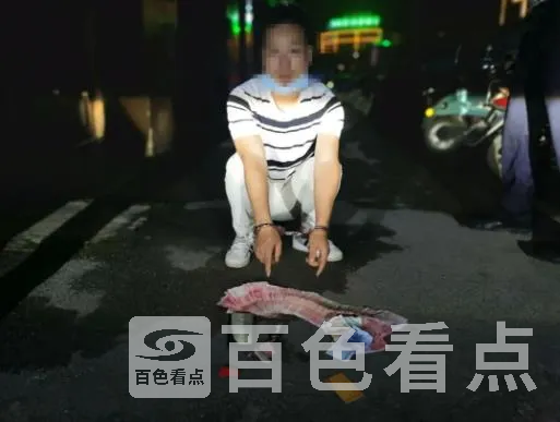 6.webp