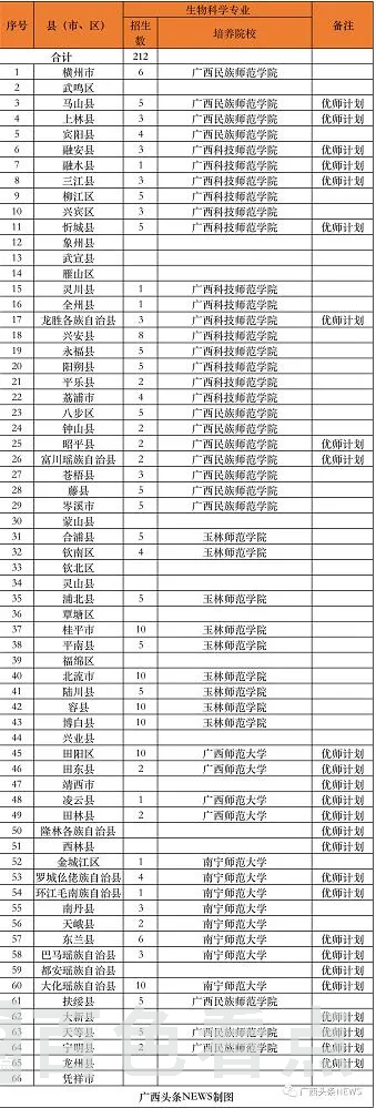 11.webp