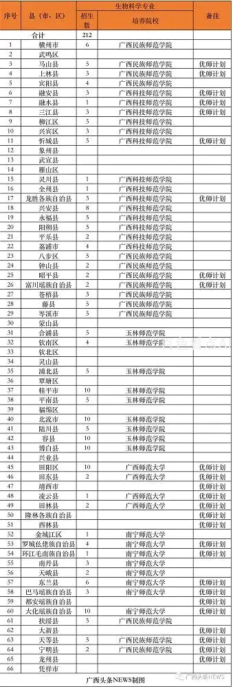 11.webp