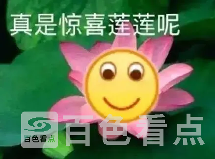 10.webp