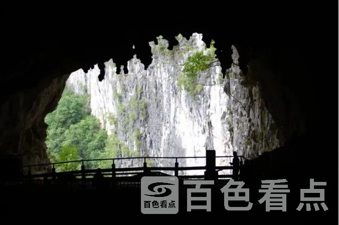 31.webp