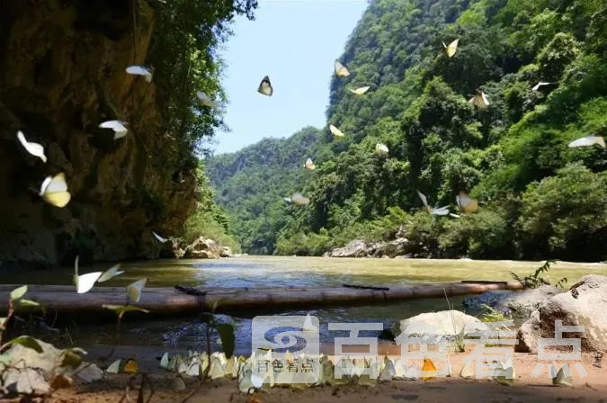 36.webp