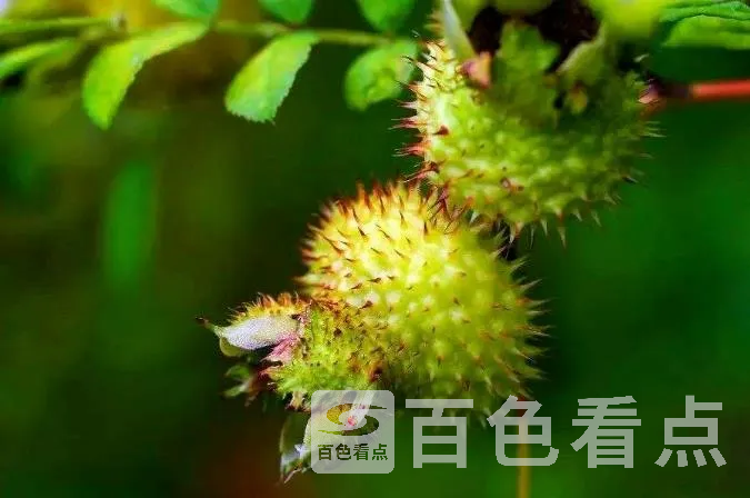 48.webp