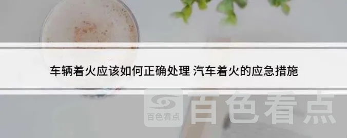 8.webp